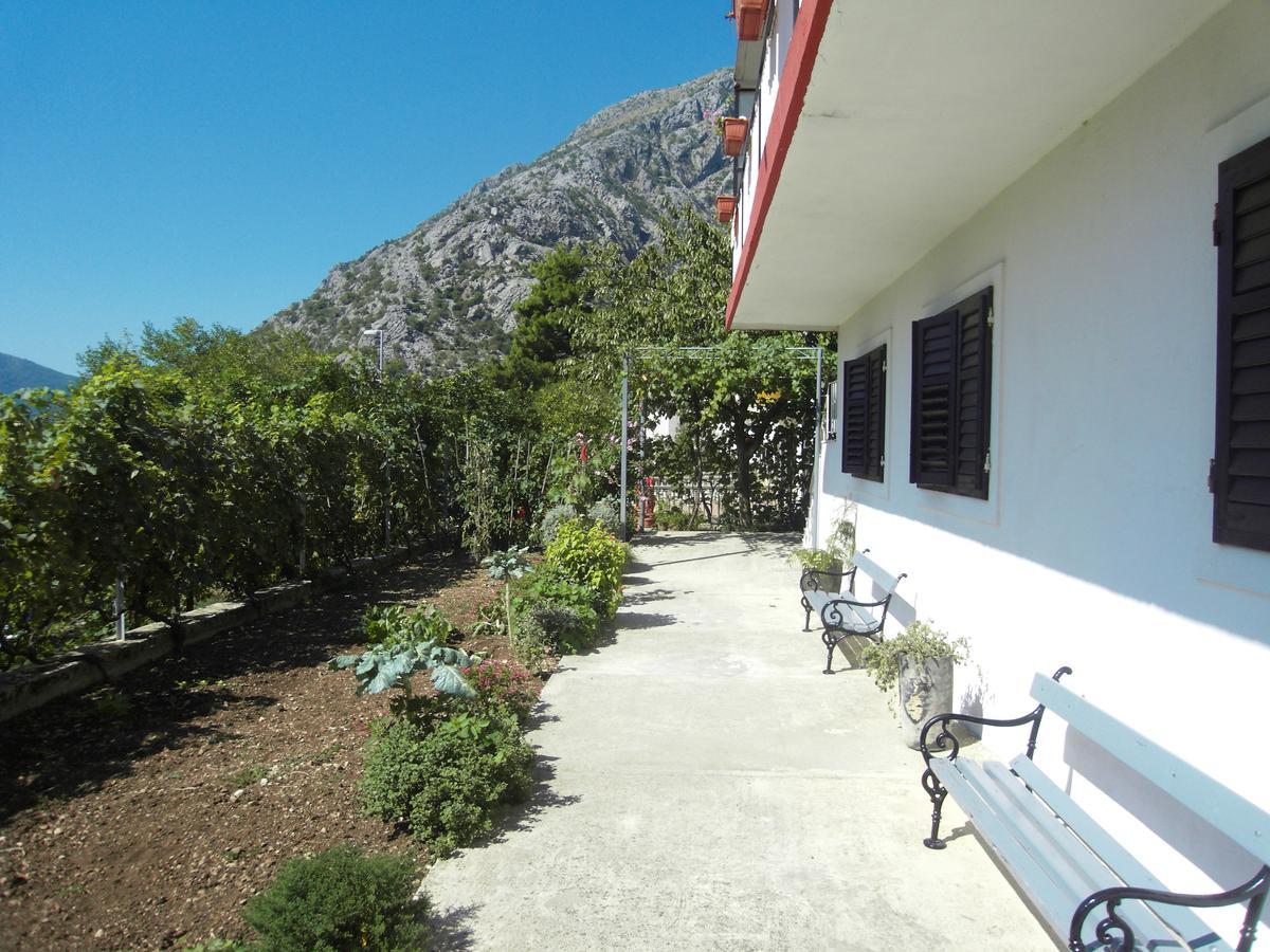Apartment Ivana Kotor Exterior photo